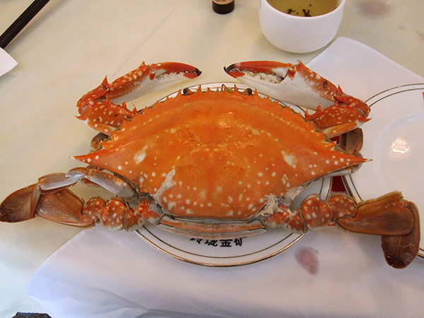 massive crab